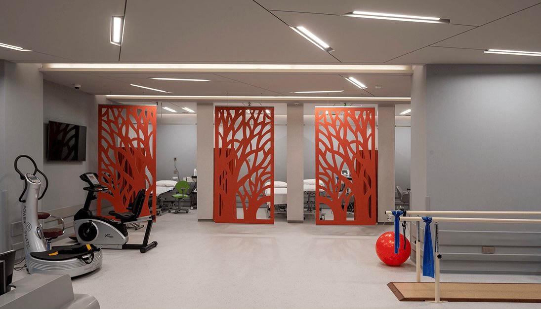 Clinic and Medical Specialties